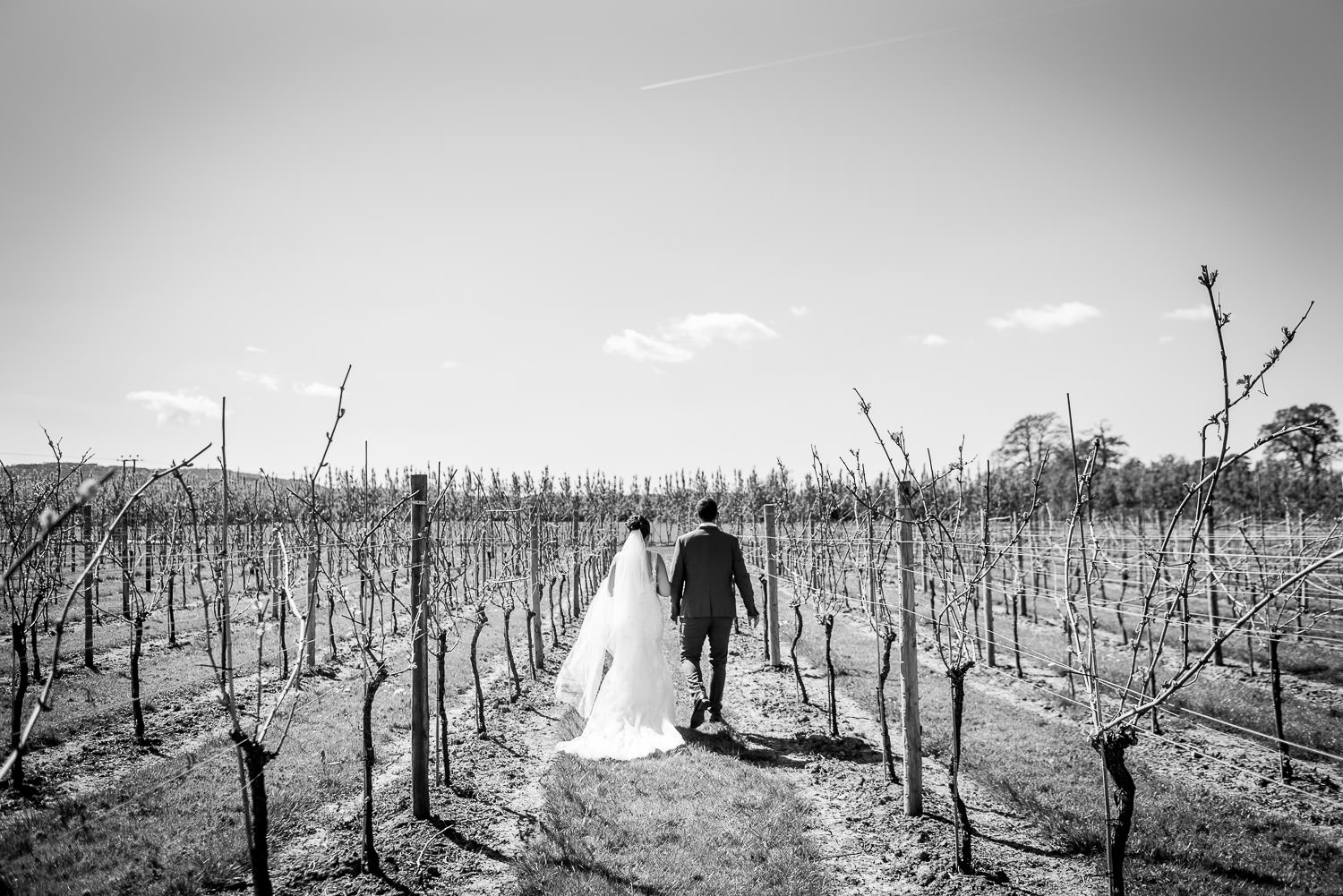 bride and groom walking through vineyard at alswick court farm