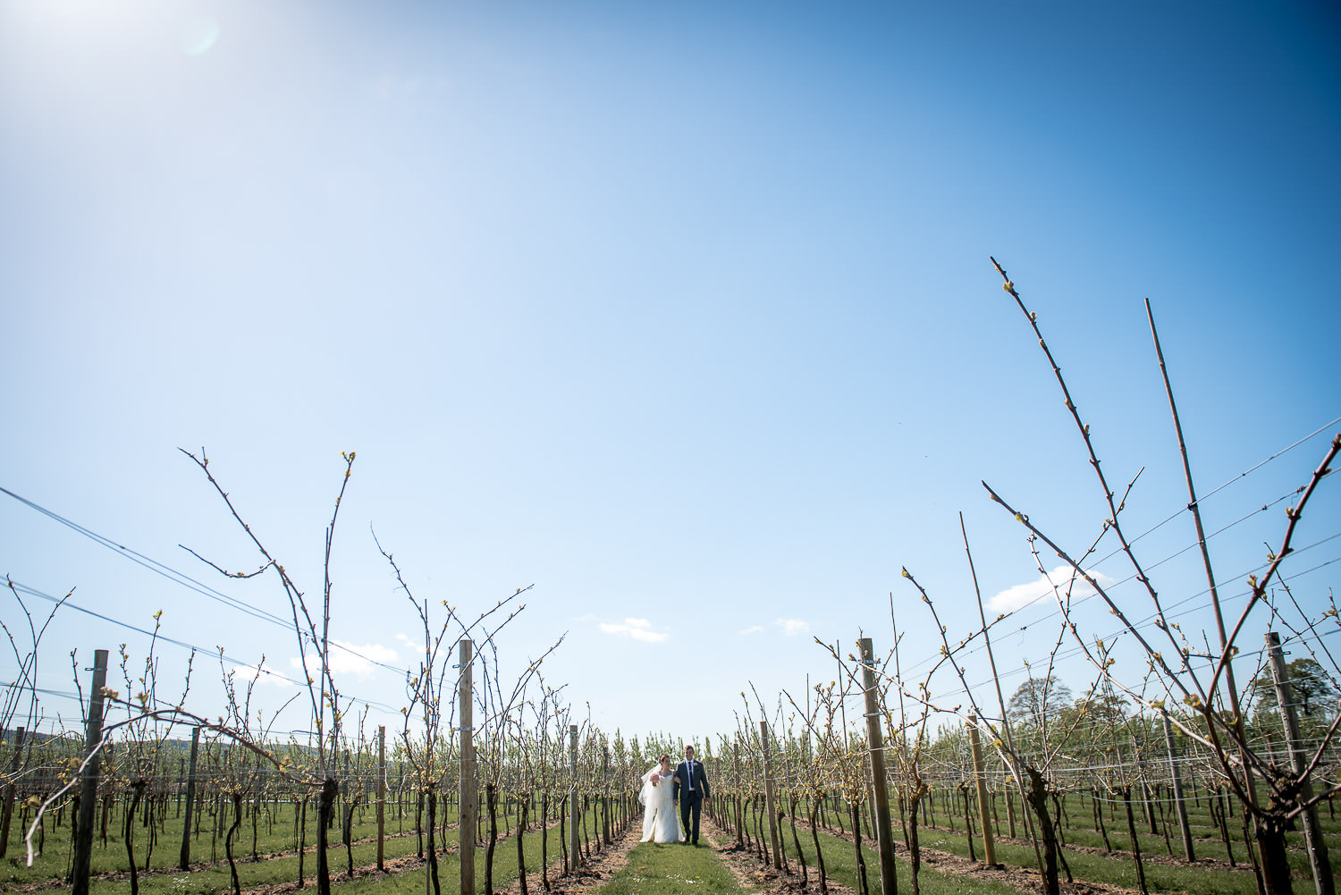 aldwick court vineyard wedding portrait