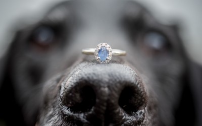 Winter Engagement Portraits