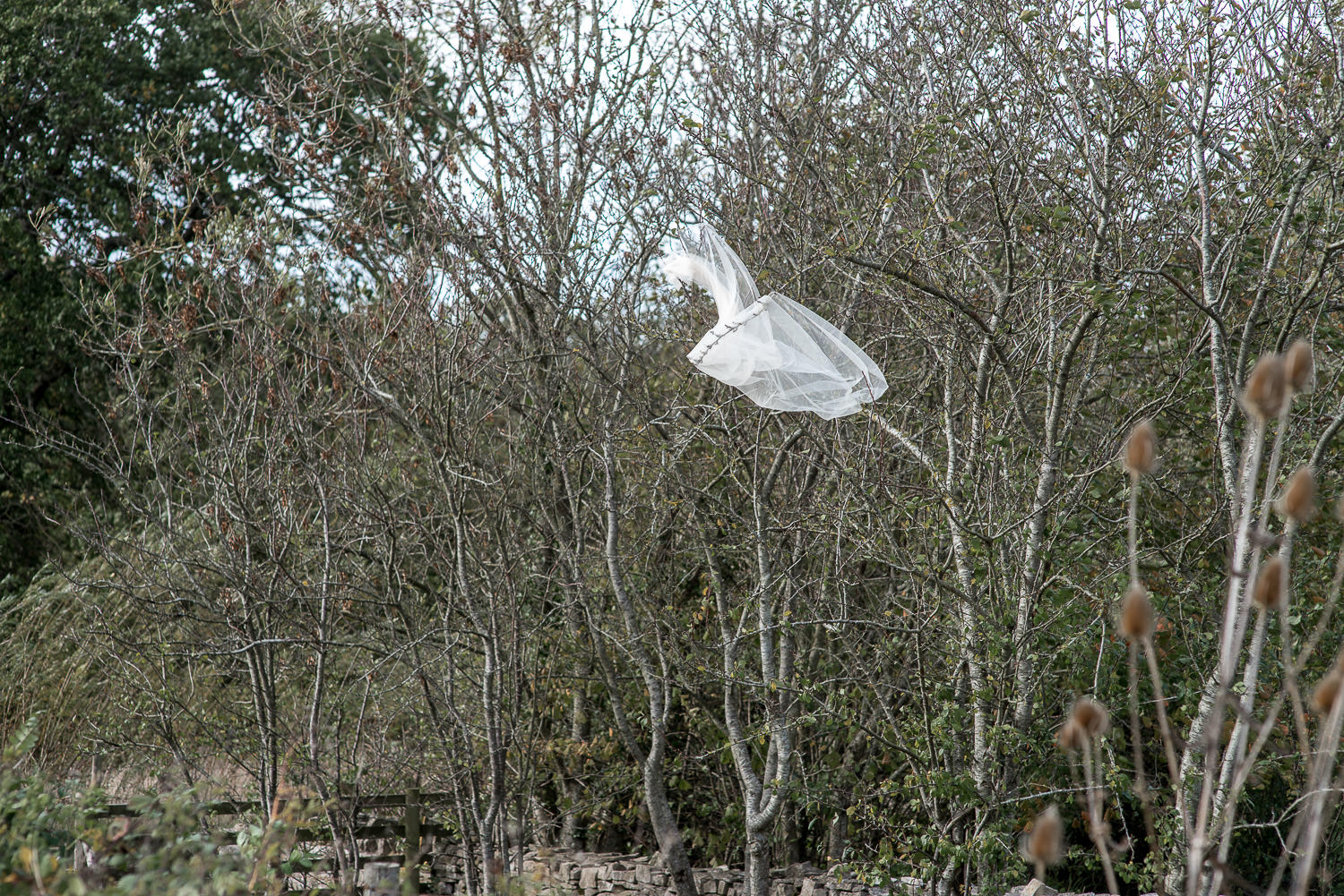 folly farm wedding veil