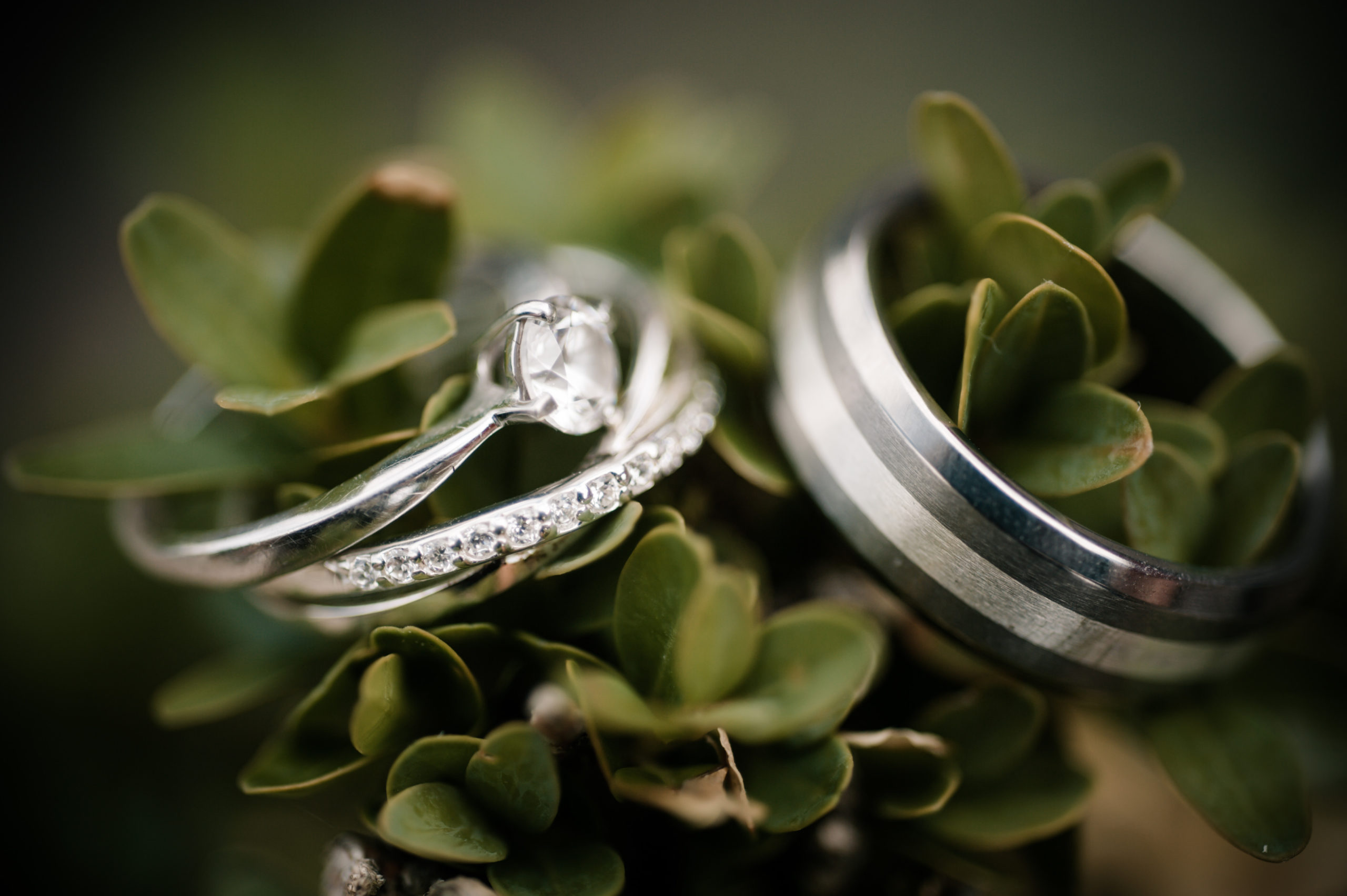 Striking Wedding Ring Detail Photography - Somerset Wedding Photographer